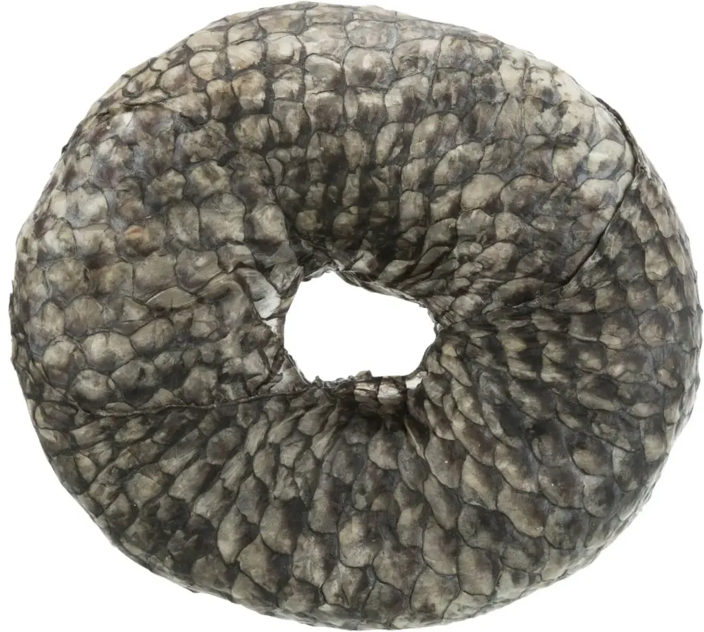 Denta Fun Fish Chewing Ring - Poisson (10 cm, 110 g) - Trixie