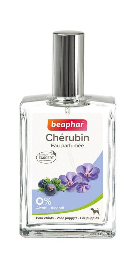 Eau de toilette parfumée "Chérubin" (50 ml) - Beaphar