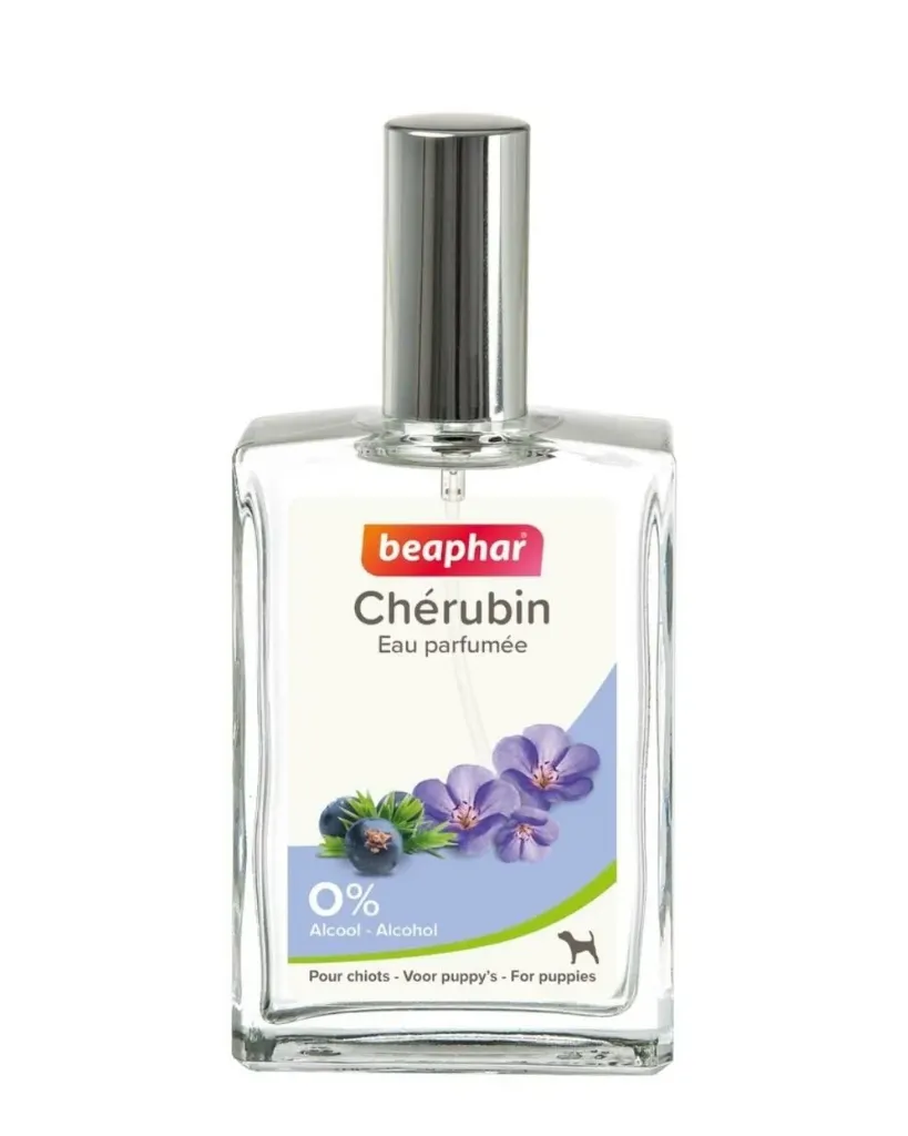 [54659] Eau de toilette parfumée Chérubin (50 ml) - Beaphar