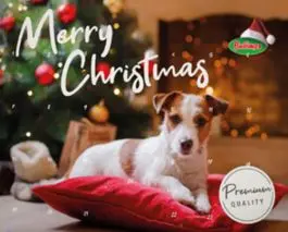 XMAS Calendrier de l'avent viande chien - Bubimex