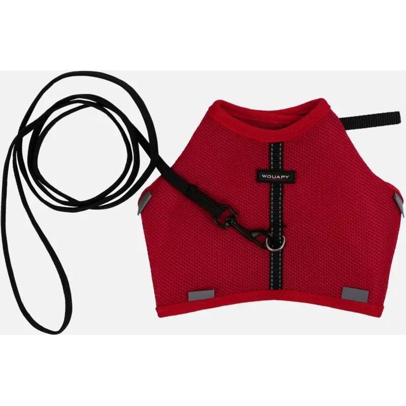 Harnais + Laisse Soft rouge pour chat - Wouapy
