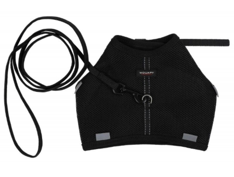 Harnais + Laisse Soft noire pour chat - Wouapy