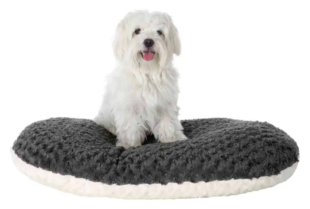 [55014-005] Coussin Kaline (Taille 2 : 54 x 35 cm) - Trixie