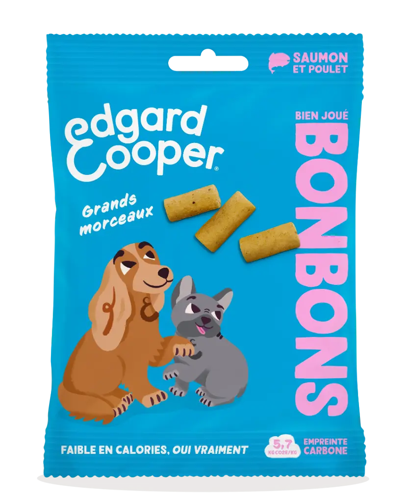 Friandises Bonbons Saumon Grands morceaux (50 g) - Edgard & Cooper