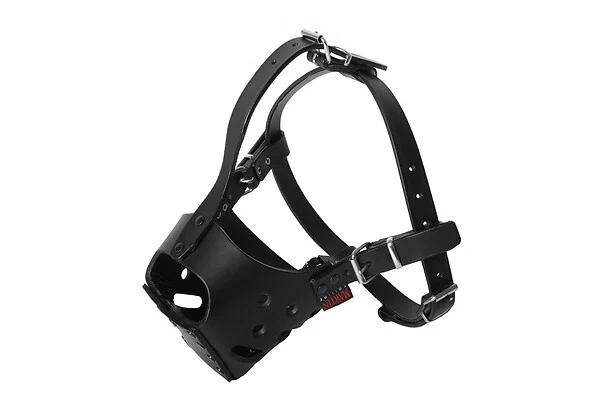 Muselière Cuir Noir AMSTAFF (Taille 2)