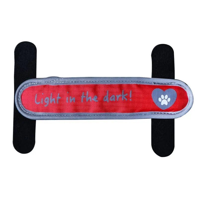 Lanière LED polyester pour collier/harnais (2 cm x 16 cm) - Bubimex