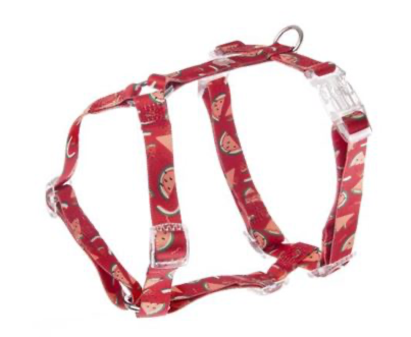 Harnais en H Pastèque (M) - Ferribiella