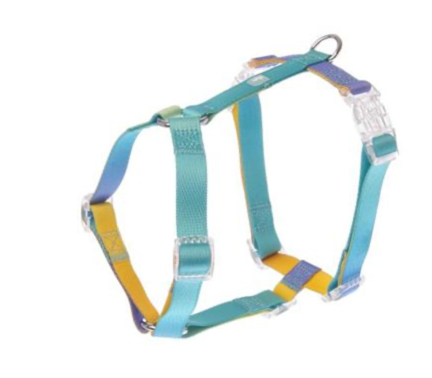 Harnais en H Rainbow (L) - Ferribiella