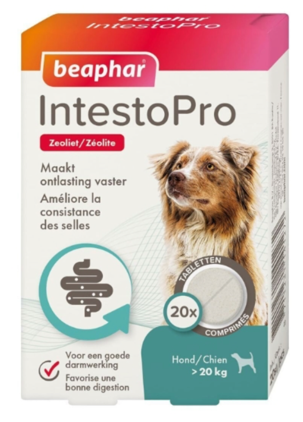 IntestoPro, Comprimés pour chien de plus de 20 kg (20 comprimés) - Beaphar