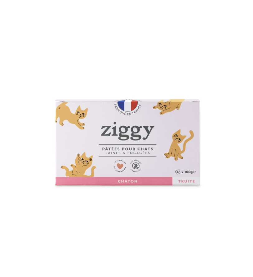 [55524] Pâtée Complète Chaton - Truite (4 barquettes 100 g) - Ziggy
