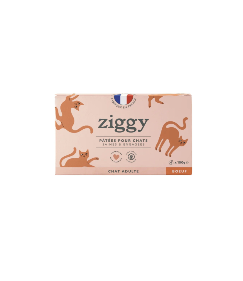 Pâtée Complète Chat Adulte - Boeuf (4 barquettes 100 g) - Ziggy