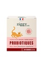 Probiotiques (30 sachets 1 g) - Ziggy