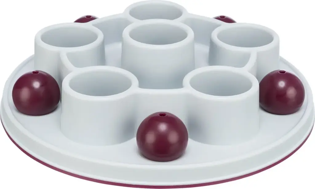 Cat Activity Pentagon - Trixie