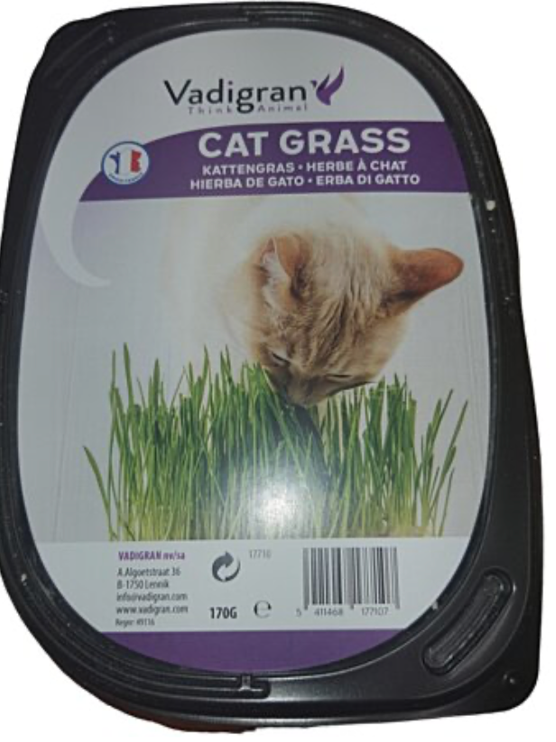 Herbe à chat (170 g) - Vadigran