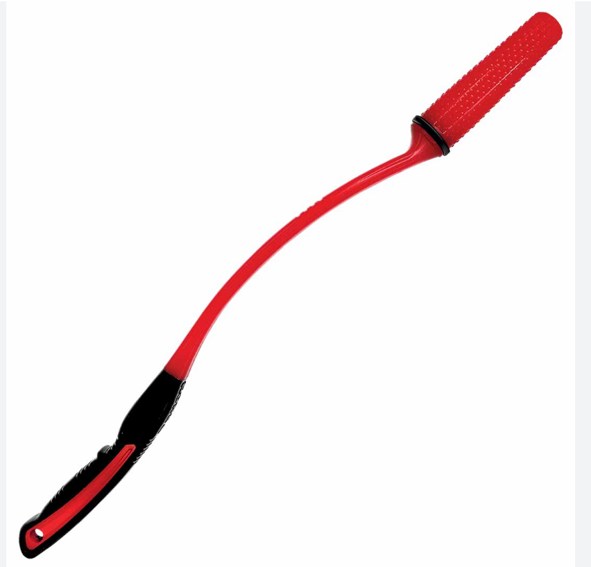 Jouet Chien Signature Throw (taille M/L) - Kong