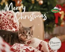 [55856] XMAS Calendrier de l'avent viande chat - Bubimex