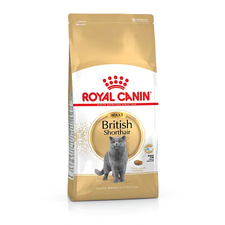 Feline Nutrition British Shorthair (4 kg) - Royal Canin