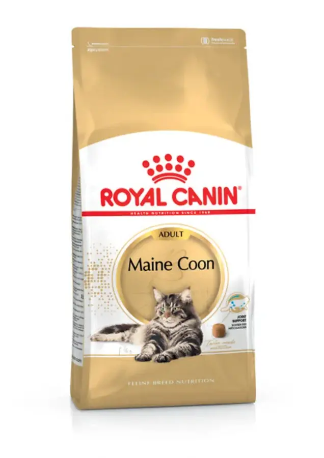 [560_521] Feline Nutrition Maine Coon (4 kg) - Royal Canin