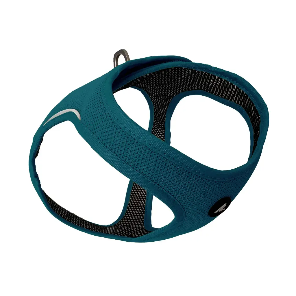 Harnais veste momentum air Bleu/Vert (L) - Kyflie