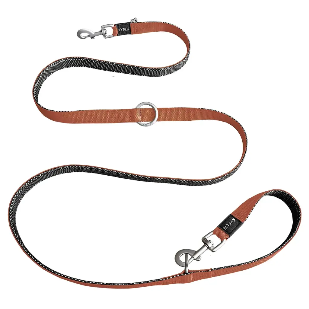 Laisse pour chien Momemtum training Cuivre (L) - Kyflie