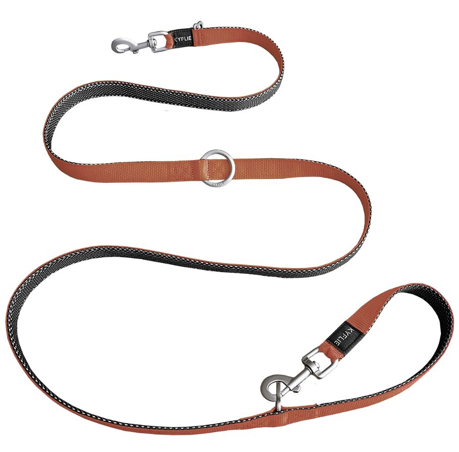 Laisse pour chien Momemtum training Cuivre (M) - Kyflie