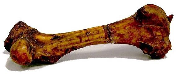 Os de Boeuf "Mammouth" - 45 cm