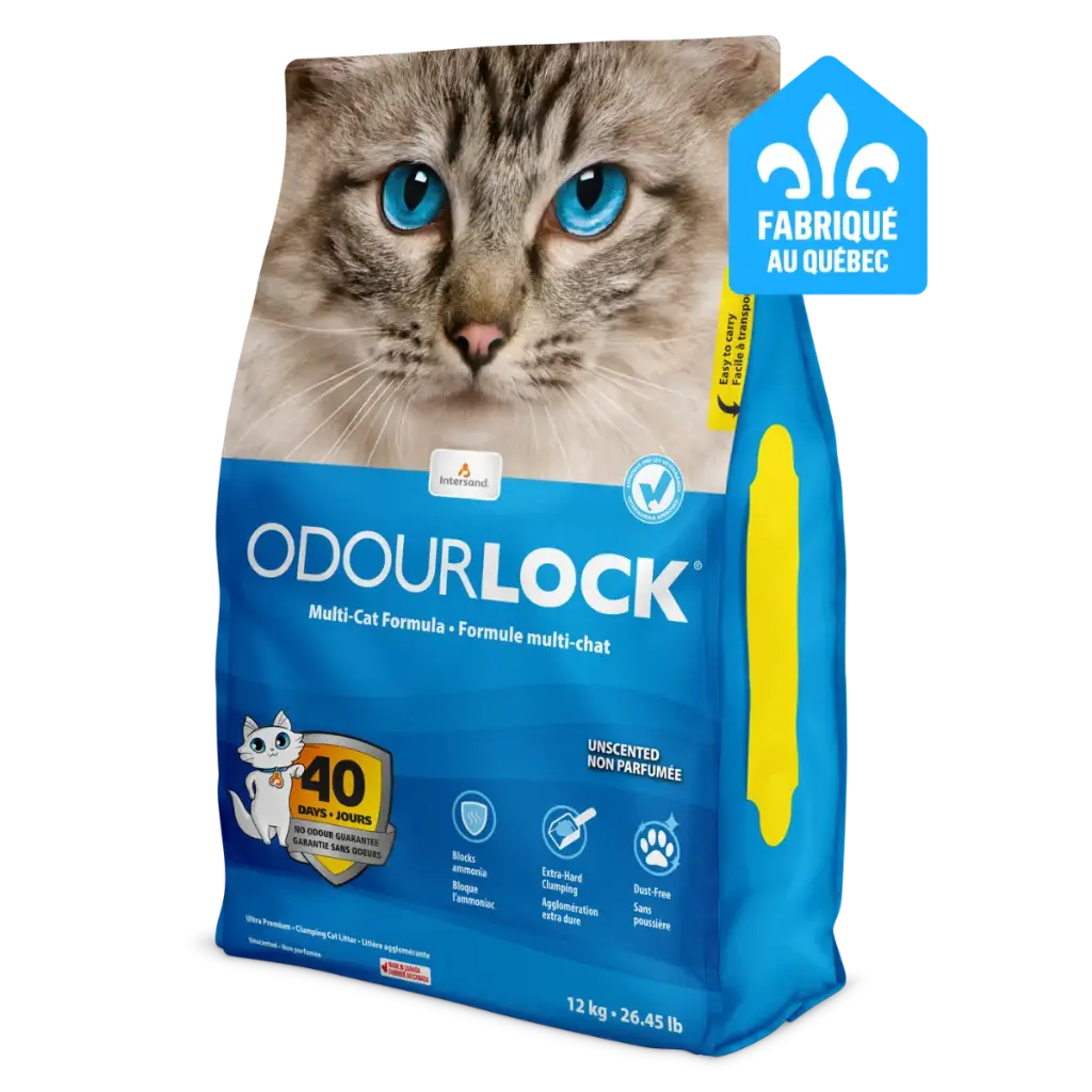 Litière Odour Lock Premium (12 kg) - Intersand