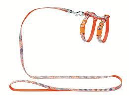 Harnais chat "Seventies" orange en nylon - Hunter