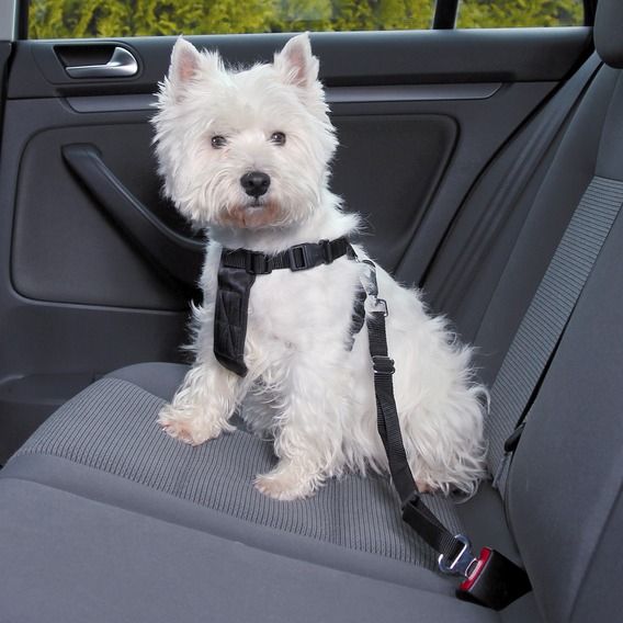 Harnais de sécurité "Auto" Friends on Tour (XL) - Trixie