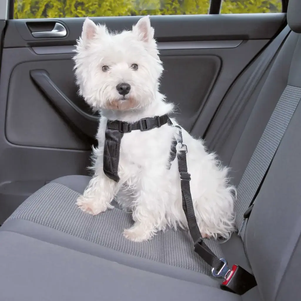 Harnais de sécurité "Auto" Friends on Tour (XS) - Trixie