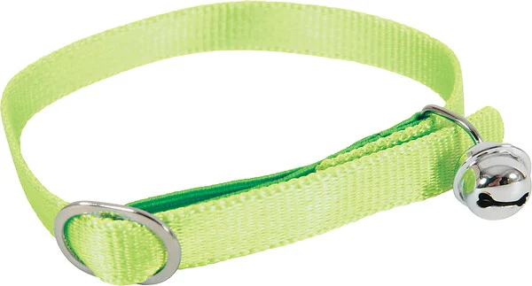 Collier "Color" (Anis) - Zolux