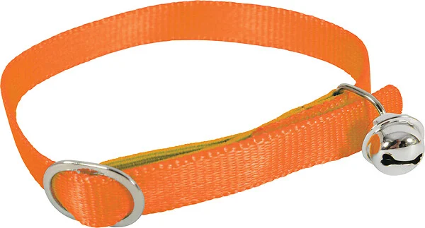[7368_14402] Collier "Color" (Orange) - Zolux