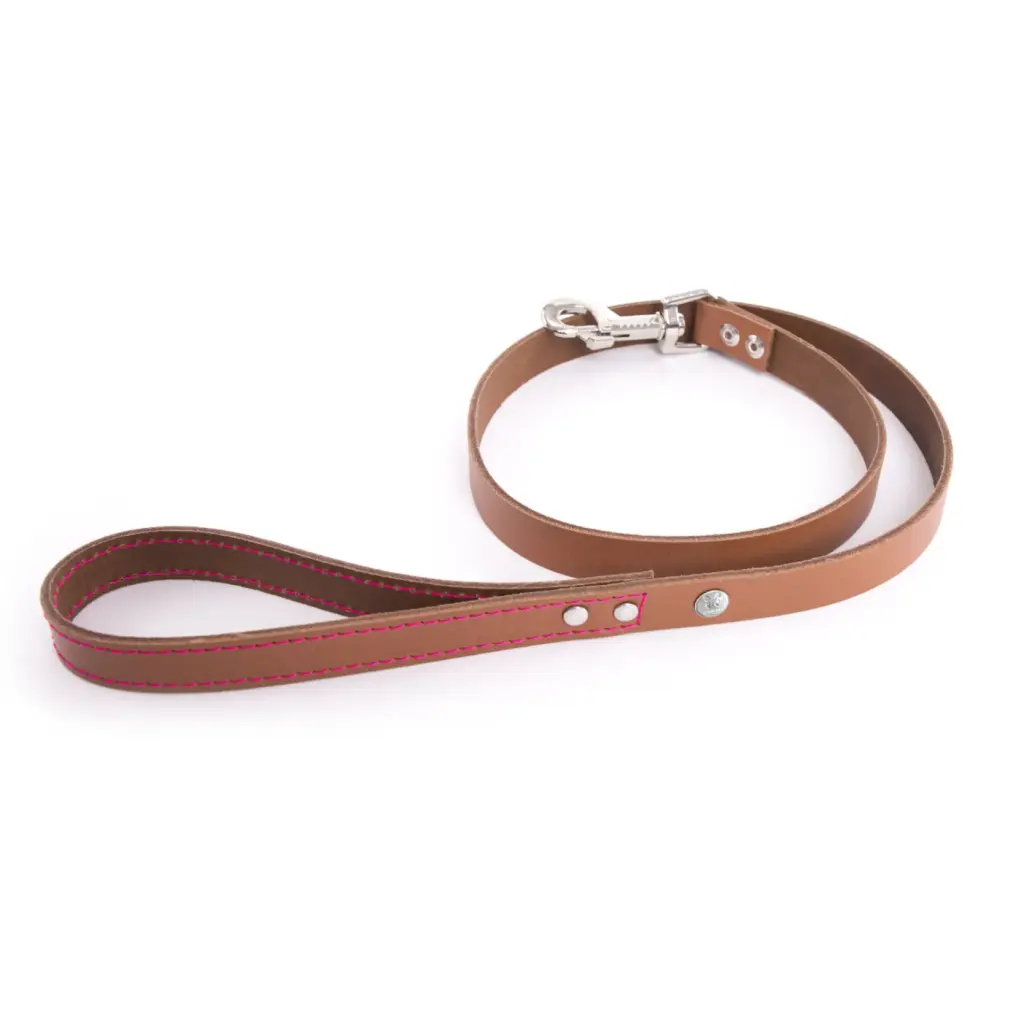 [7637-002] Laisse en cuir Flash - Cognac/Rose - Martin Sellier