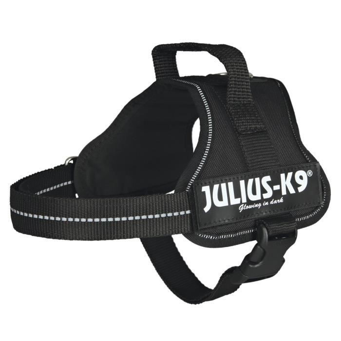 Harnais Power Julius-K9 Mini /M (Coloris : Fushia)