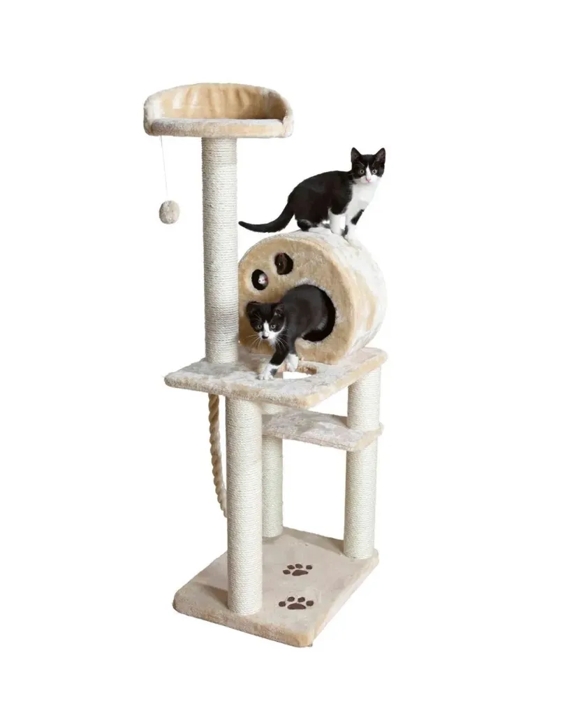 Arbre à chat Salamanca (138 cm) - Trixie