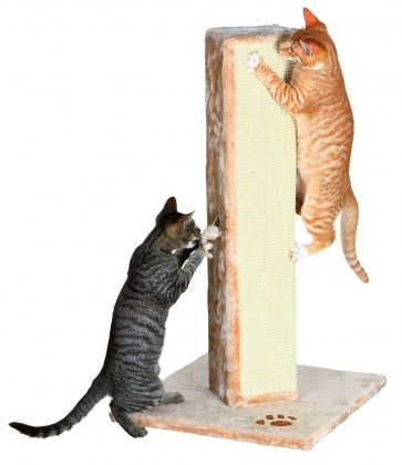 Colonne griffoir "Soria" beige - Trixie