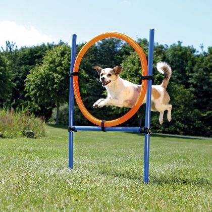 [8265] Anneau Agility - Trixie