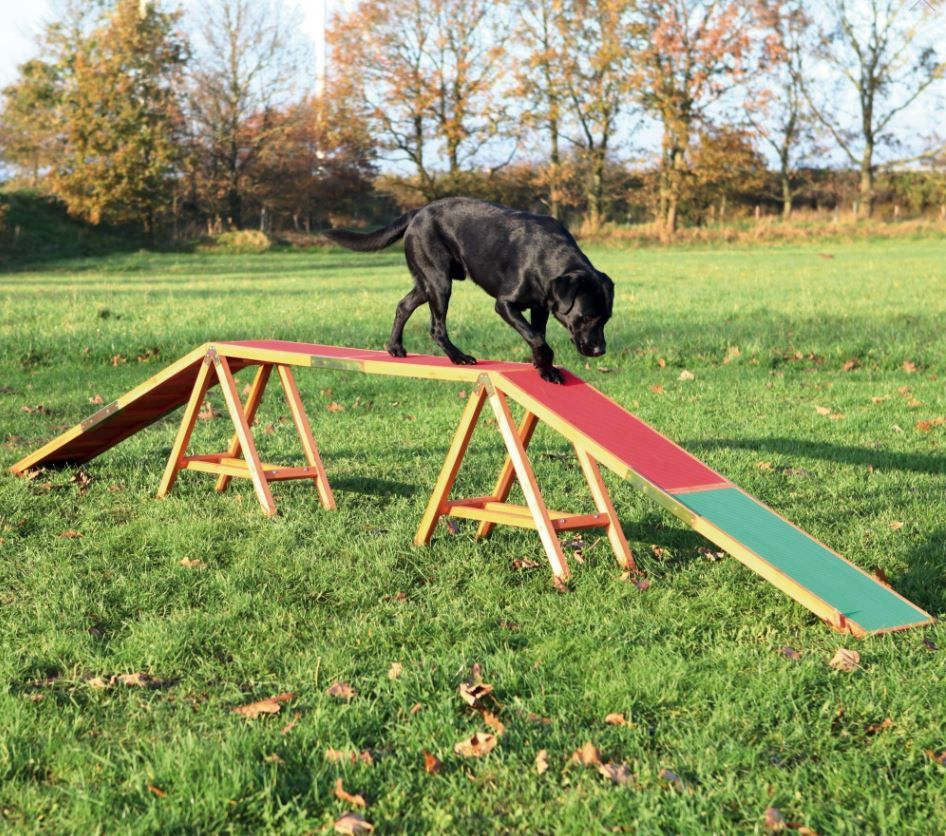 [8266] Dog Walk Agility - Trixie