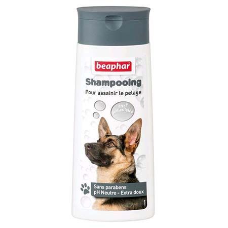 Shampoing Anti-Dandruff pour chien (250 ml) - Beaphar
