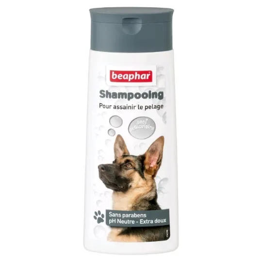 Shampoing anti-pelliculaire pour chien (250 ml) - Beaphar
