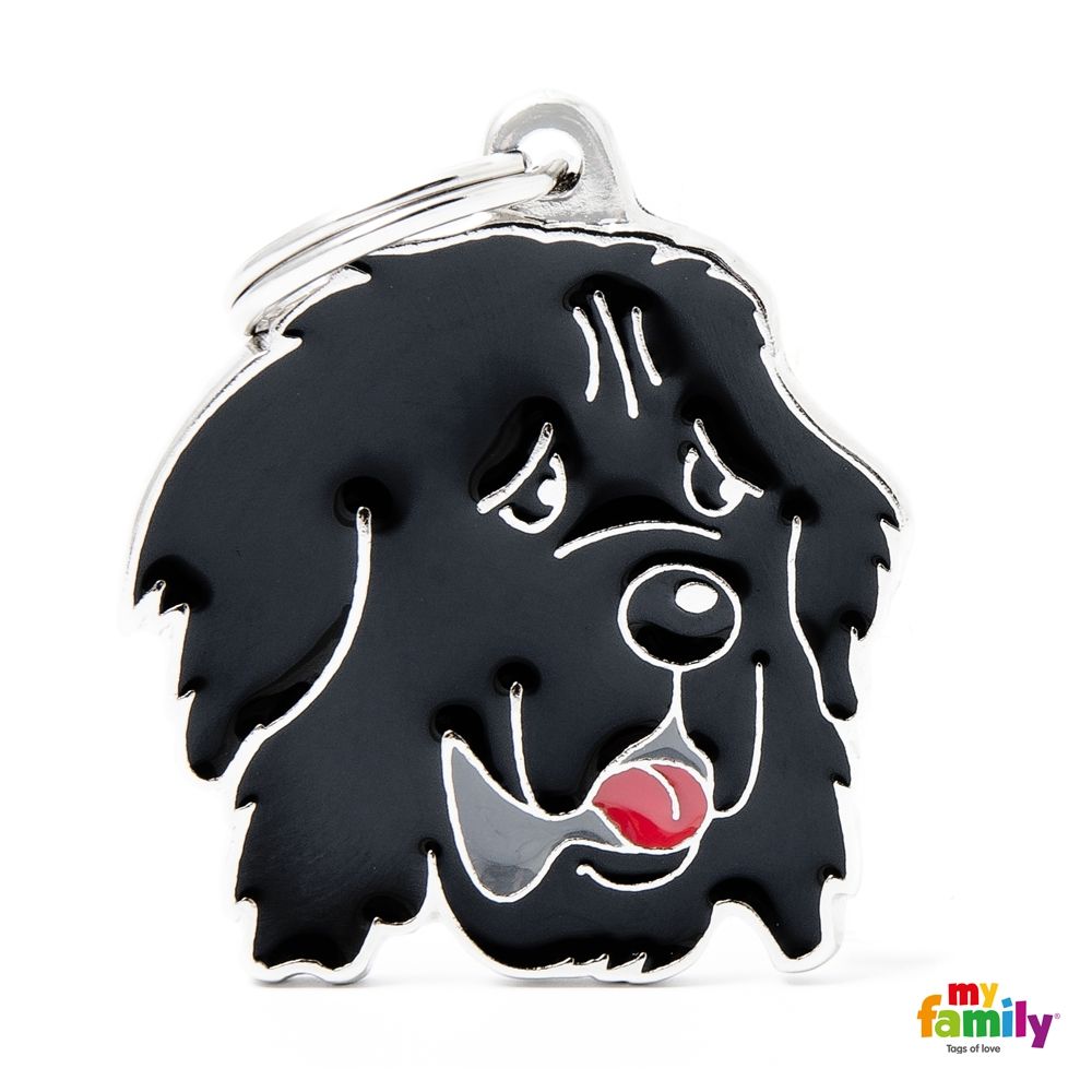 [8758] Médaille "Terre neuve" - MyFamily