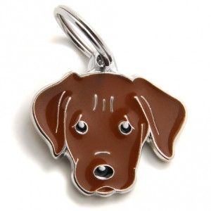 Médaille "Labrador marron" - MyFamily