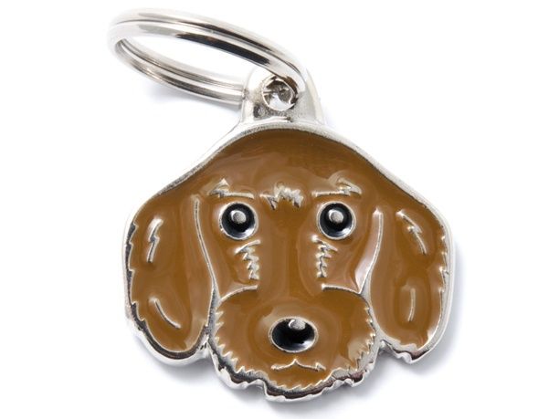 [8832] Médaille "Teckel à poils durs marron" - MyFamily