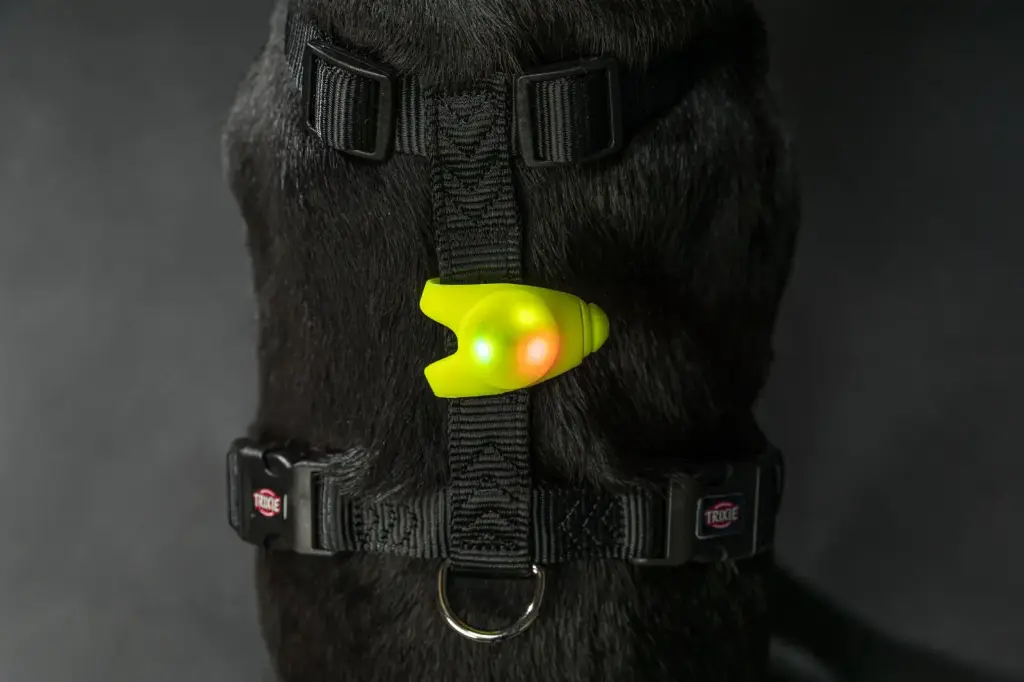 [9398] Flasher pour chien (8 cm) - Trixie