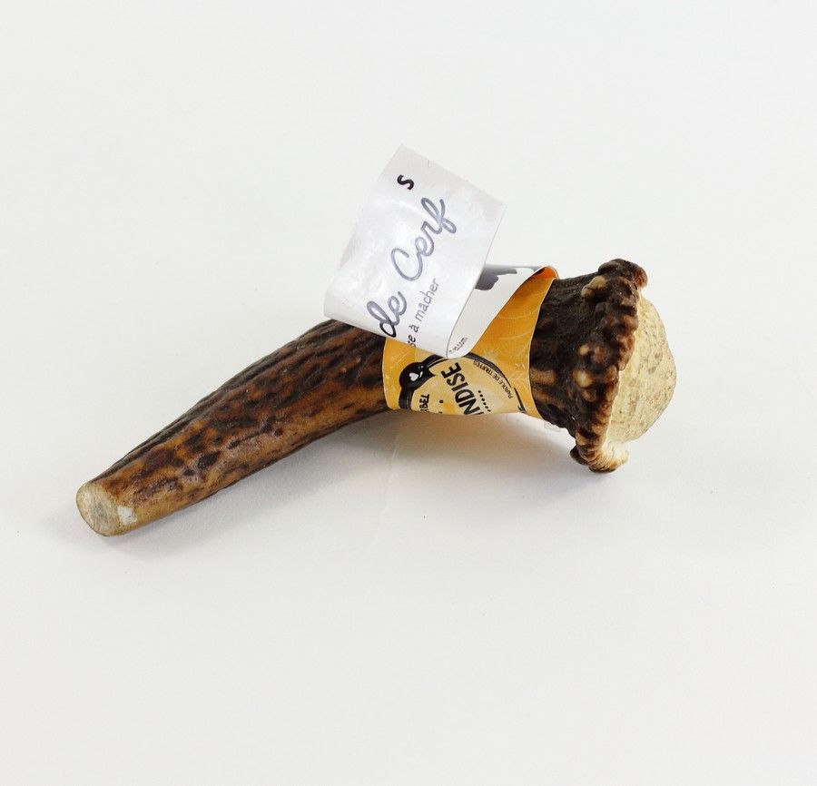 Bois de Cerf (S) - Parole de Truffes