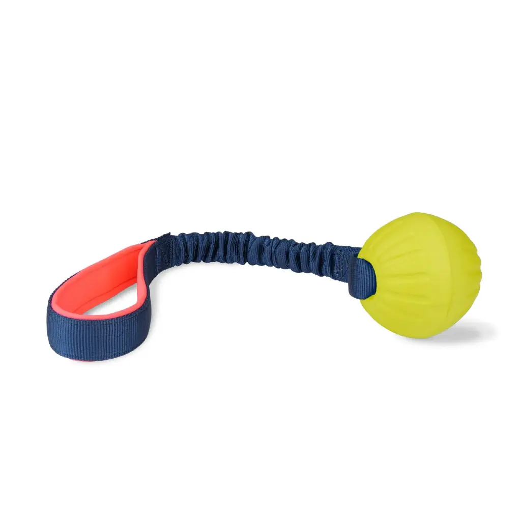 Balle éducation pour chien Coachi Tuggi Ball navy, corail & lime - Wouapy