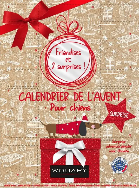 Calendrier de l'avent surprise chien noël - Wouapy