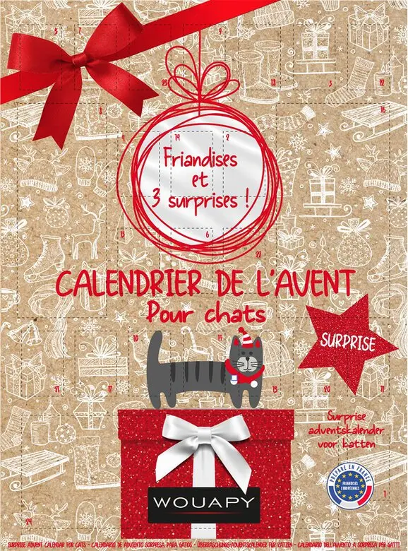 [J25030012] Calendrier de l'avent surprise chat noël - Wouapy