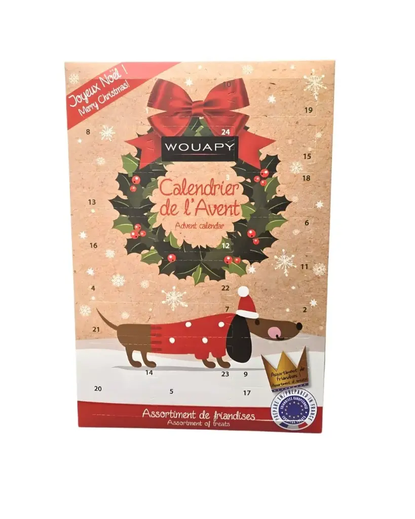 [J25030013] Calendrier de l'avent chien noël - Wouapy