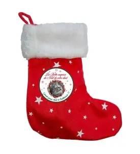 [J25030015] Botte surprise noël chat - Wouapy